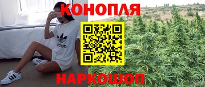ешки Ярославль