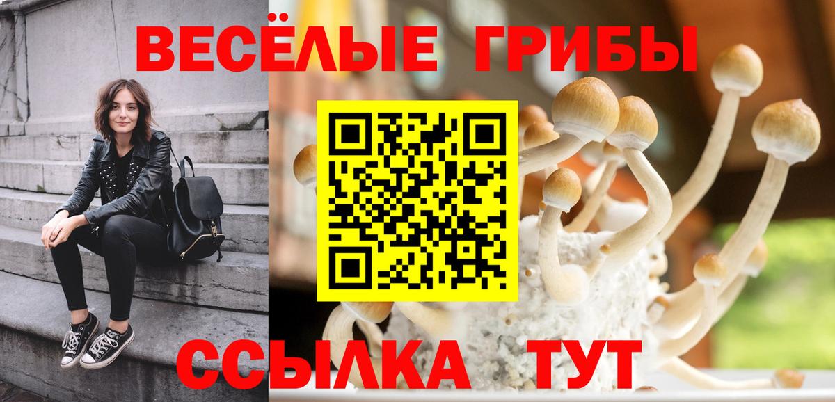 Псилоцибиновые грибы Psilocybe Верхний Уфалей